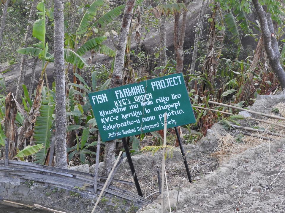 Photo of NAGALAND I: The Land of Valour and Beauty by Rupa Abdi