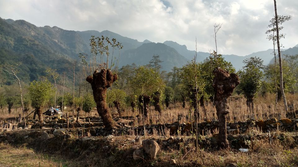 Photo of NAGALAND I: The Land of Valour and Beauty by Rupa Abdi