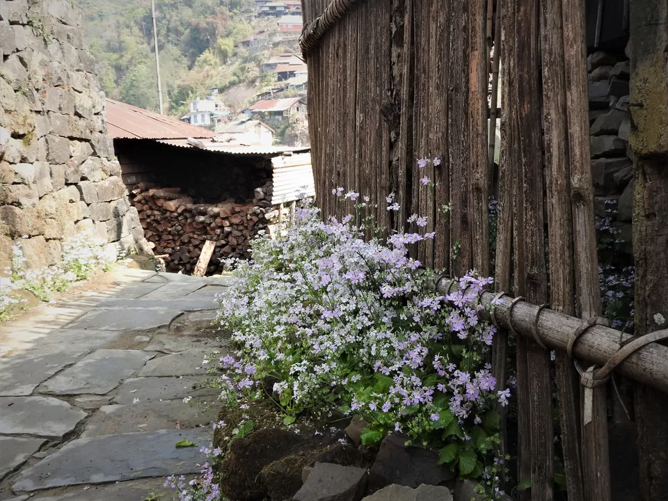 Photo of Benreu, Nagaland, India by Rupa Abdi