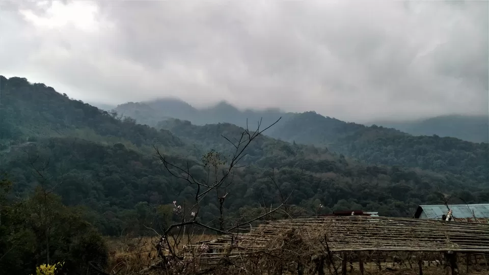 Photo of Dzuleke, Kohima, Nagaland, India by Rupa Abdi