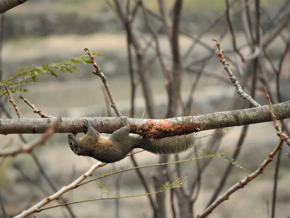 Photo of Khonoma, Nagaland, India by Rupa Abdi