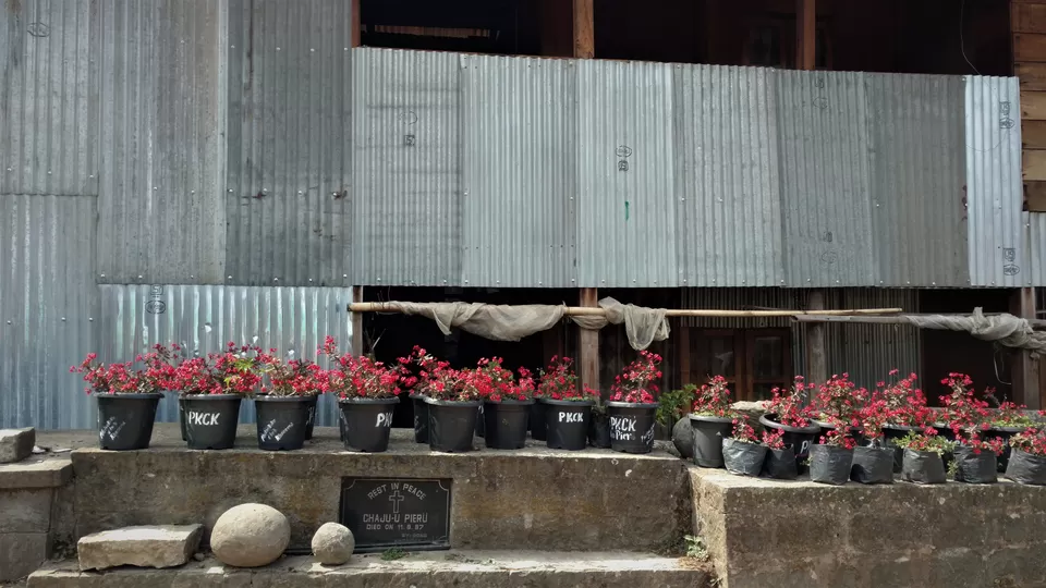 Photo of Khonoma, Nagaland, India by Rupa Abdi