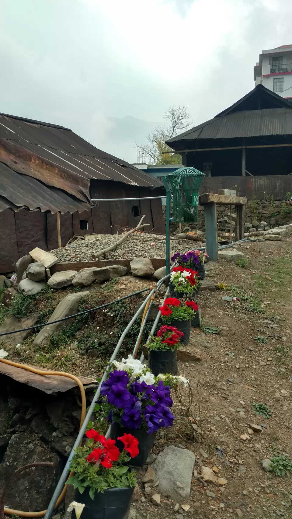 Photo of Khonoma, Nagaland, India by Rupa Abdi