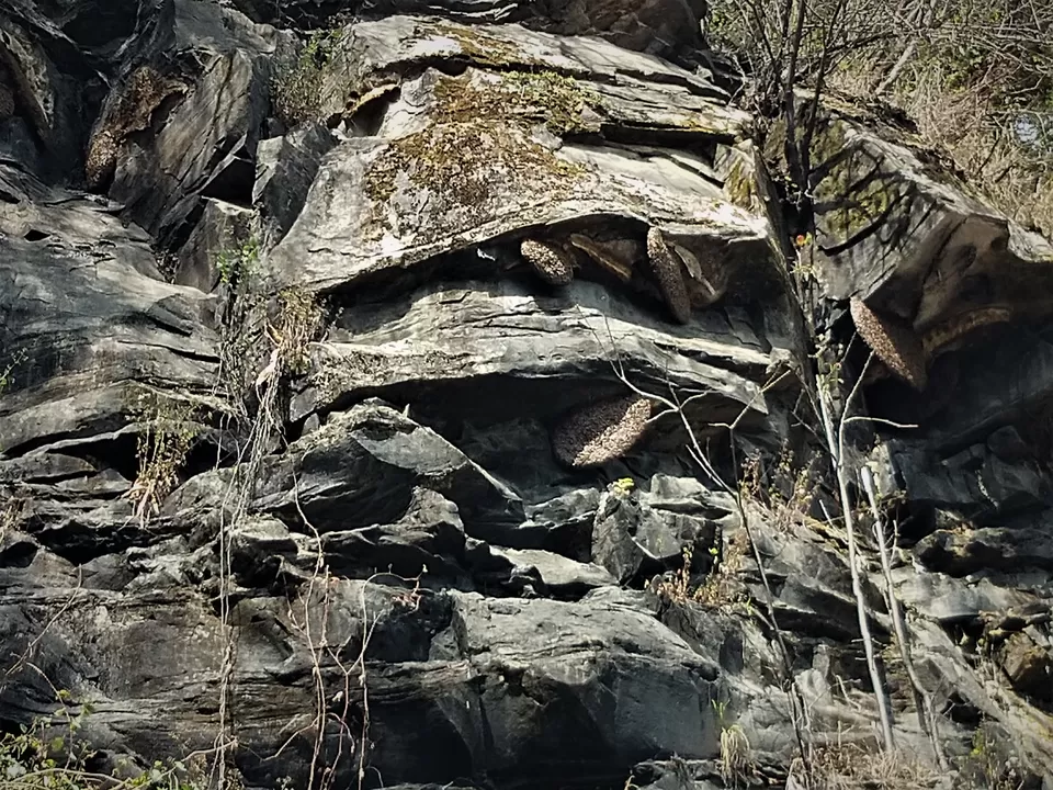 Photo of Khonoma, Nagaland, India by Rupa Abdi