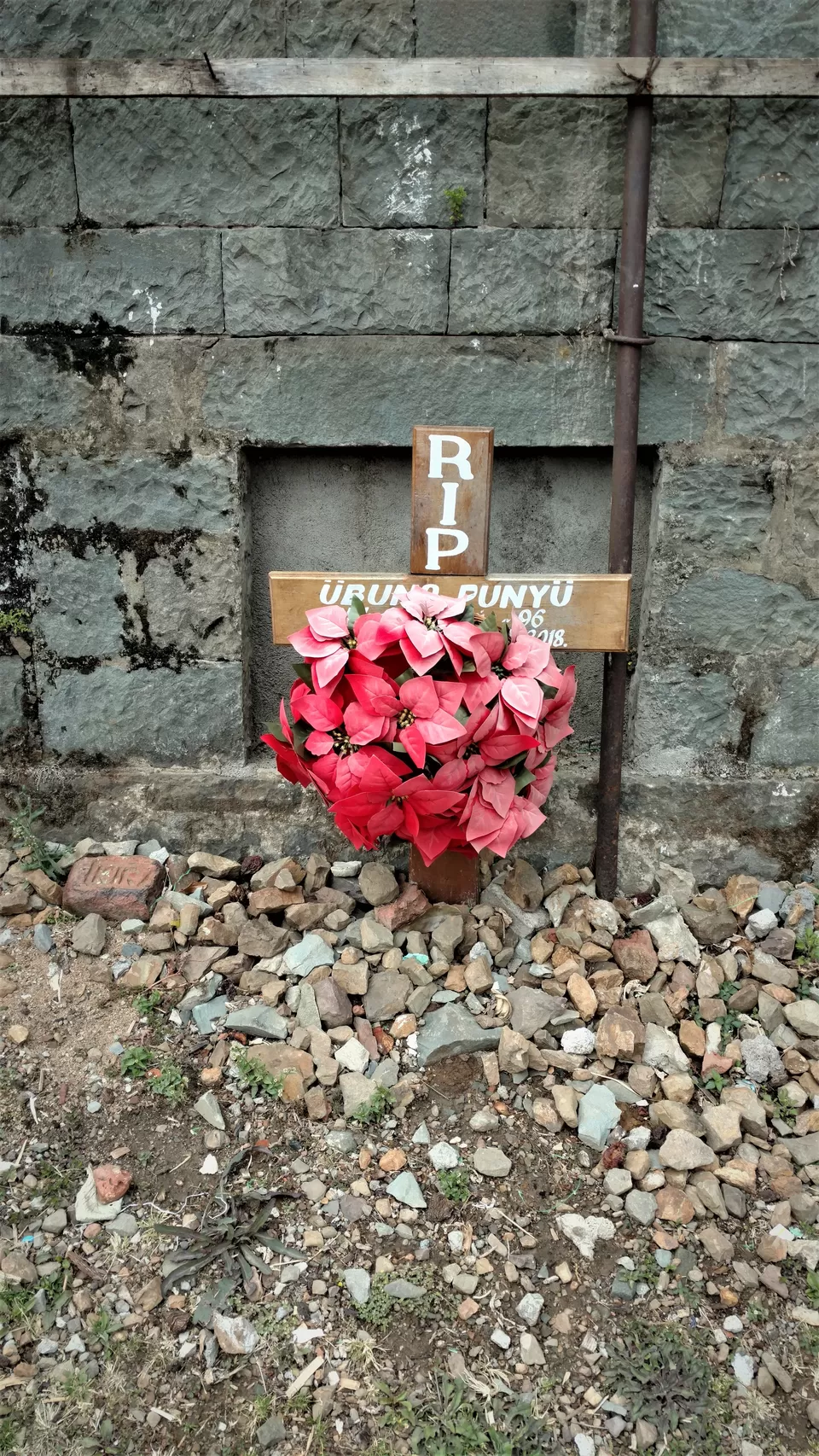 Photo of Khonoma, Nagaland, India by Rupa Abdi