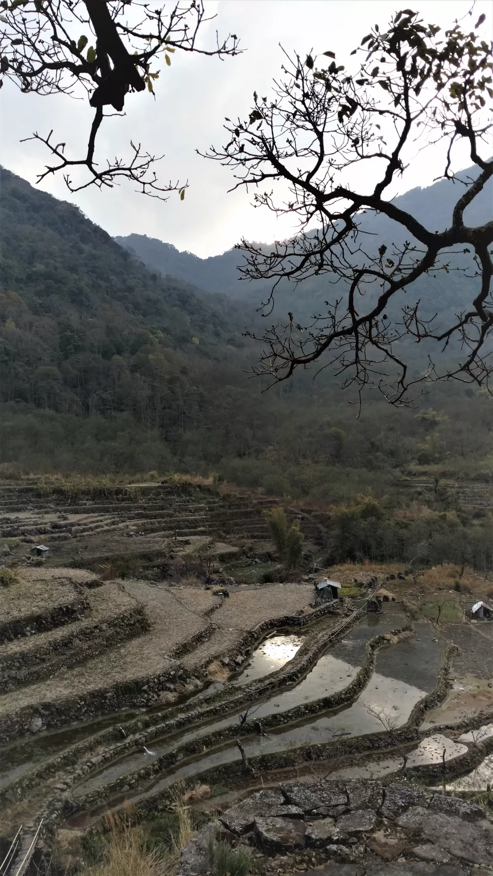 Photo of Khonoma, Nagaland, India by Rupa Abdi