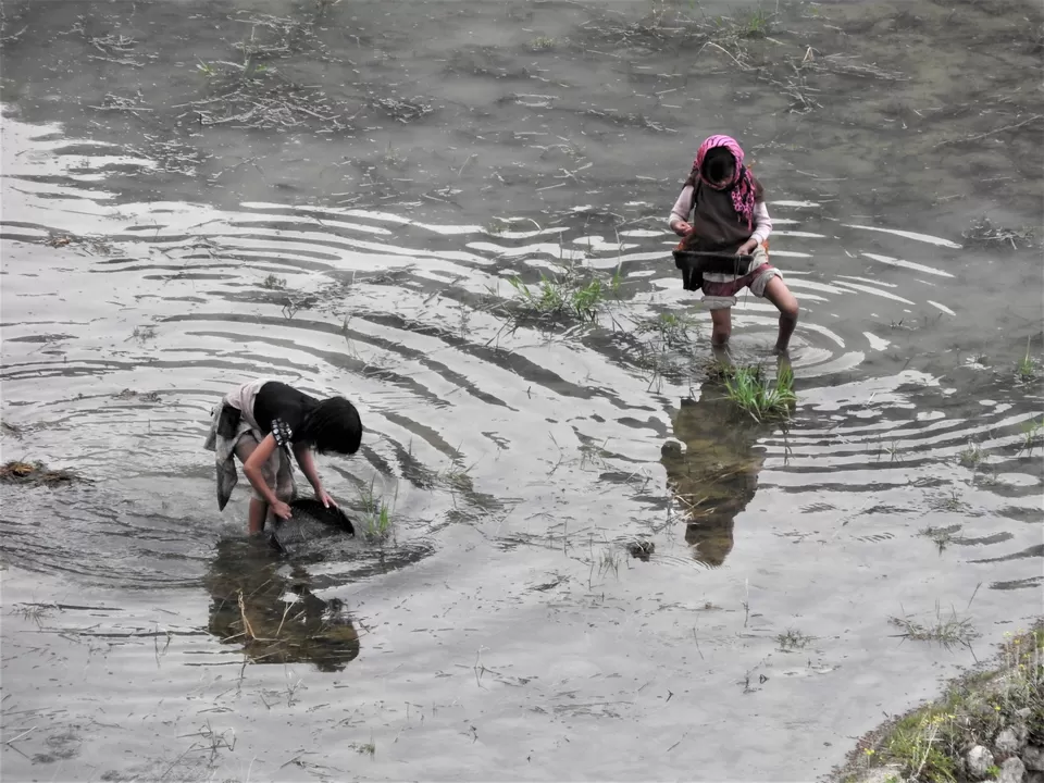 Photo of Khonoma, Nagaland, India by Rupa Abdi