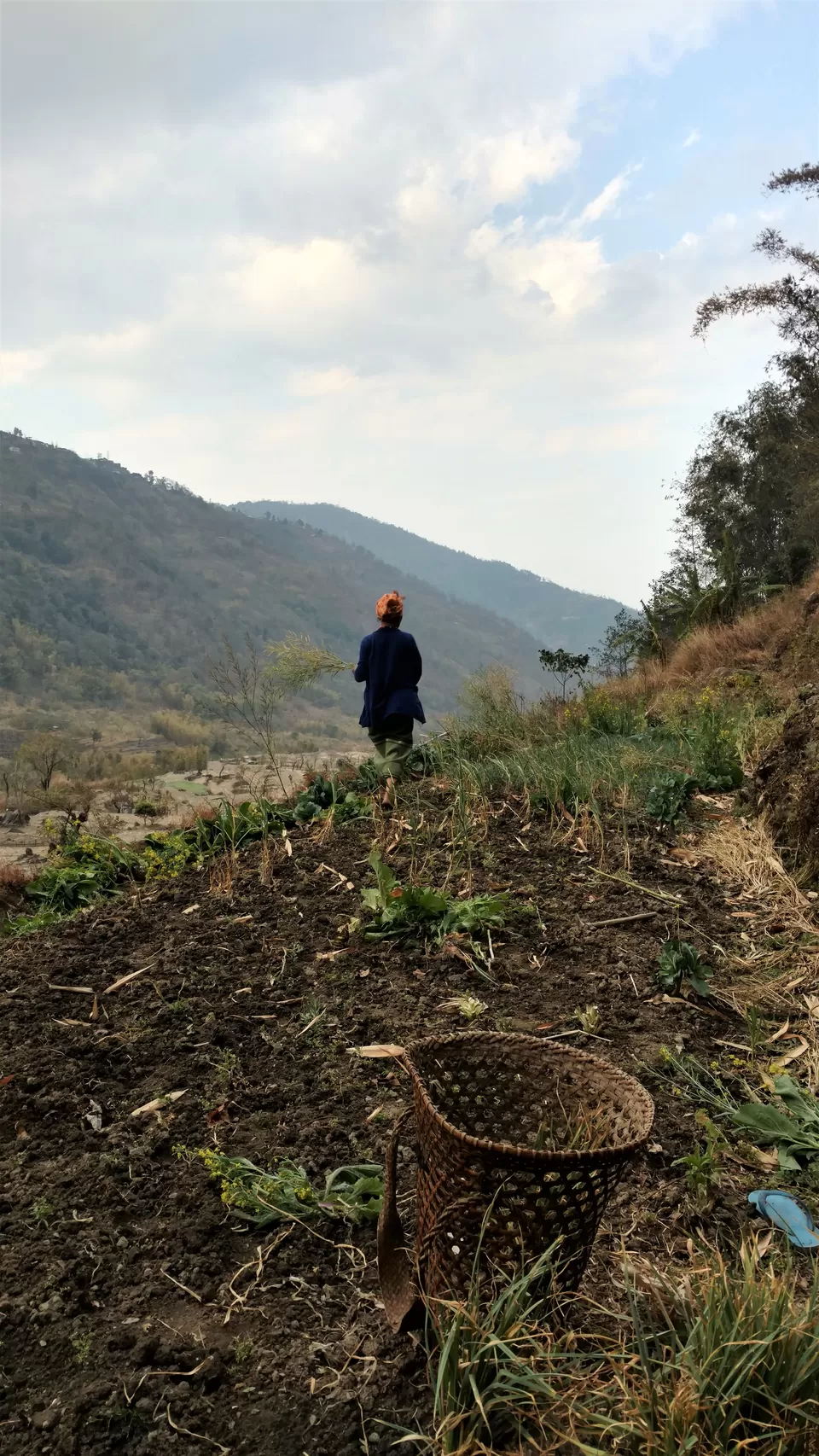 Photo of Khonoma, Nagaland, India by Rupa Abdi