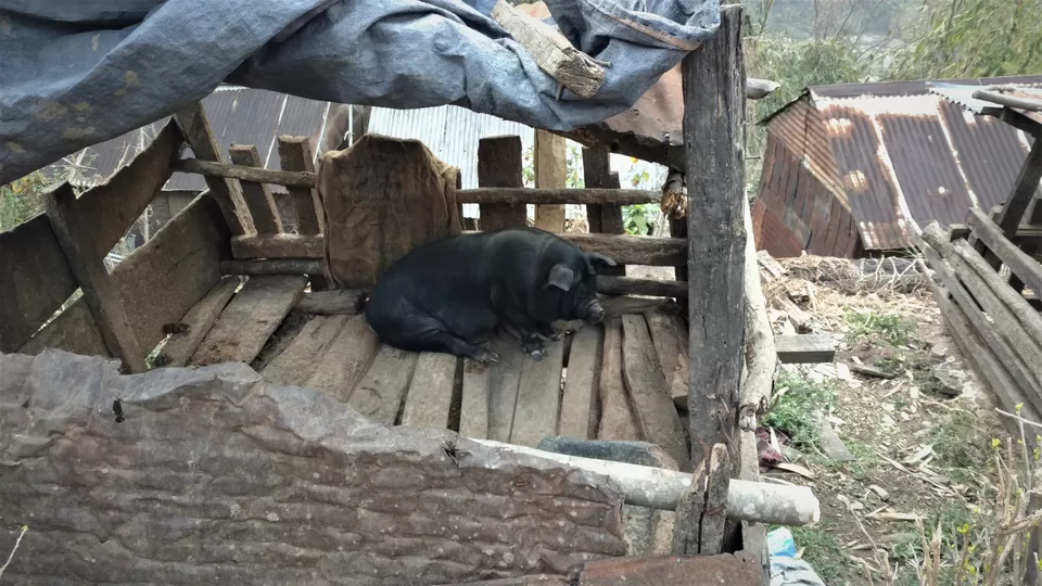 Photo of Khonoma, Nagaland, India by Rupa Abdi