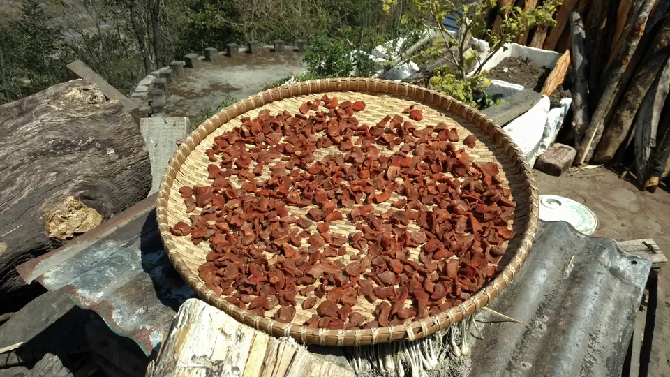 Photo of Khonoma, Nagaland, India by Rupa Abdi