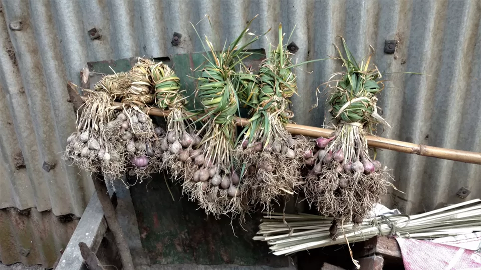 Photo of Khonoma, Nagaland, India by Rupa Abdi