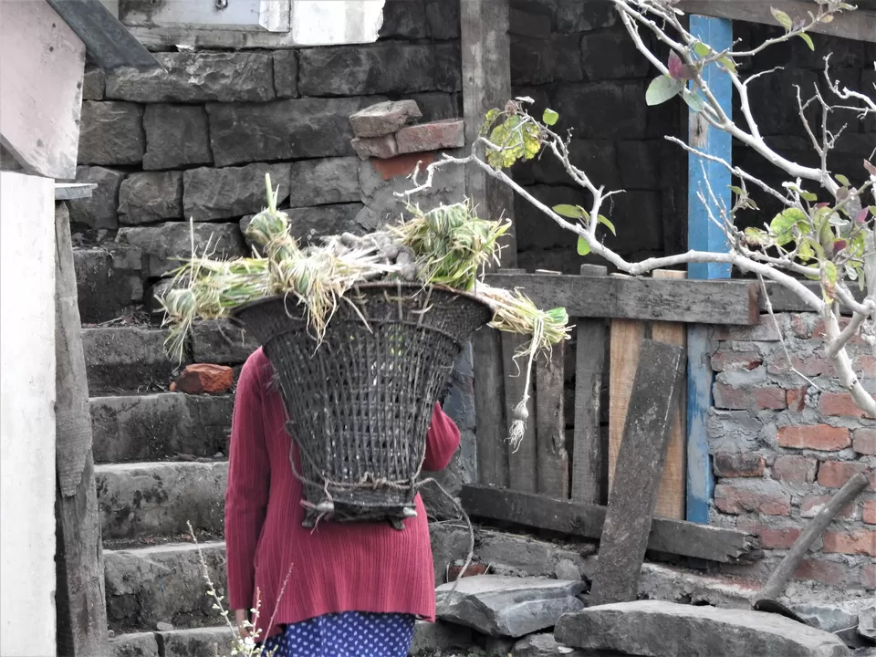 Photo of Khonoma, Nagaland, India by Rupa Abdi