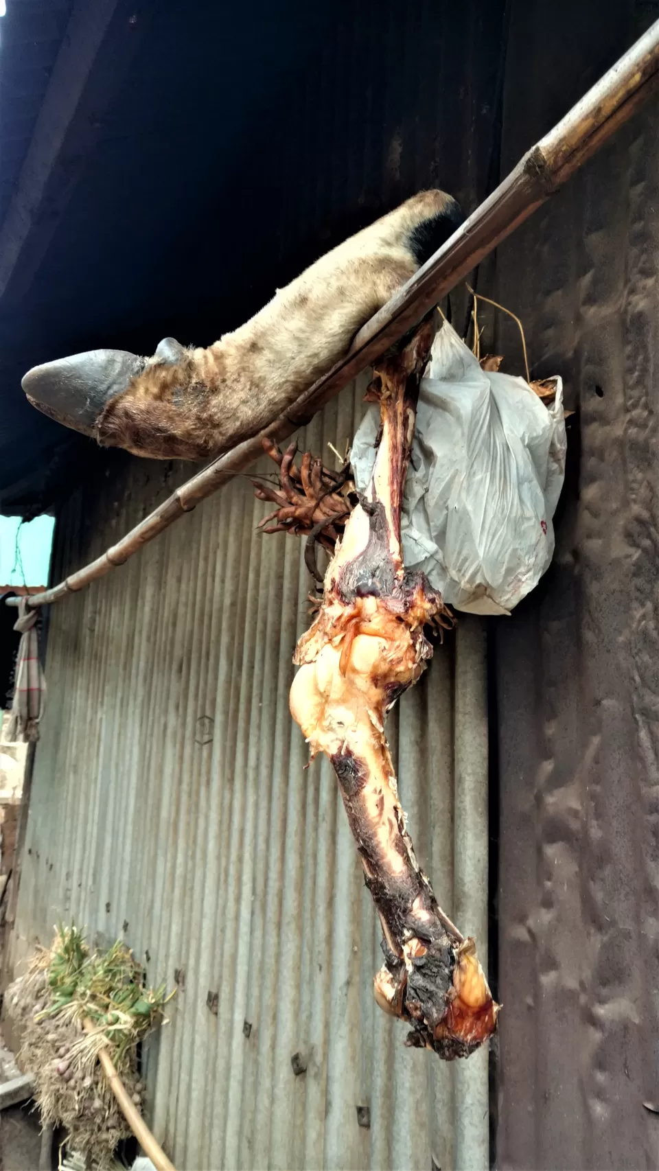 Photo of Khonoma, Nagaland, India by Rupa Abdi