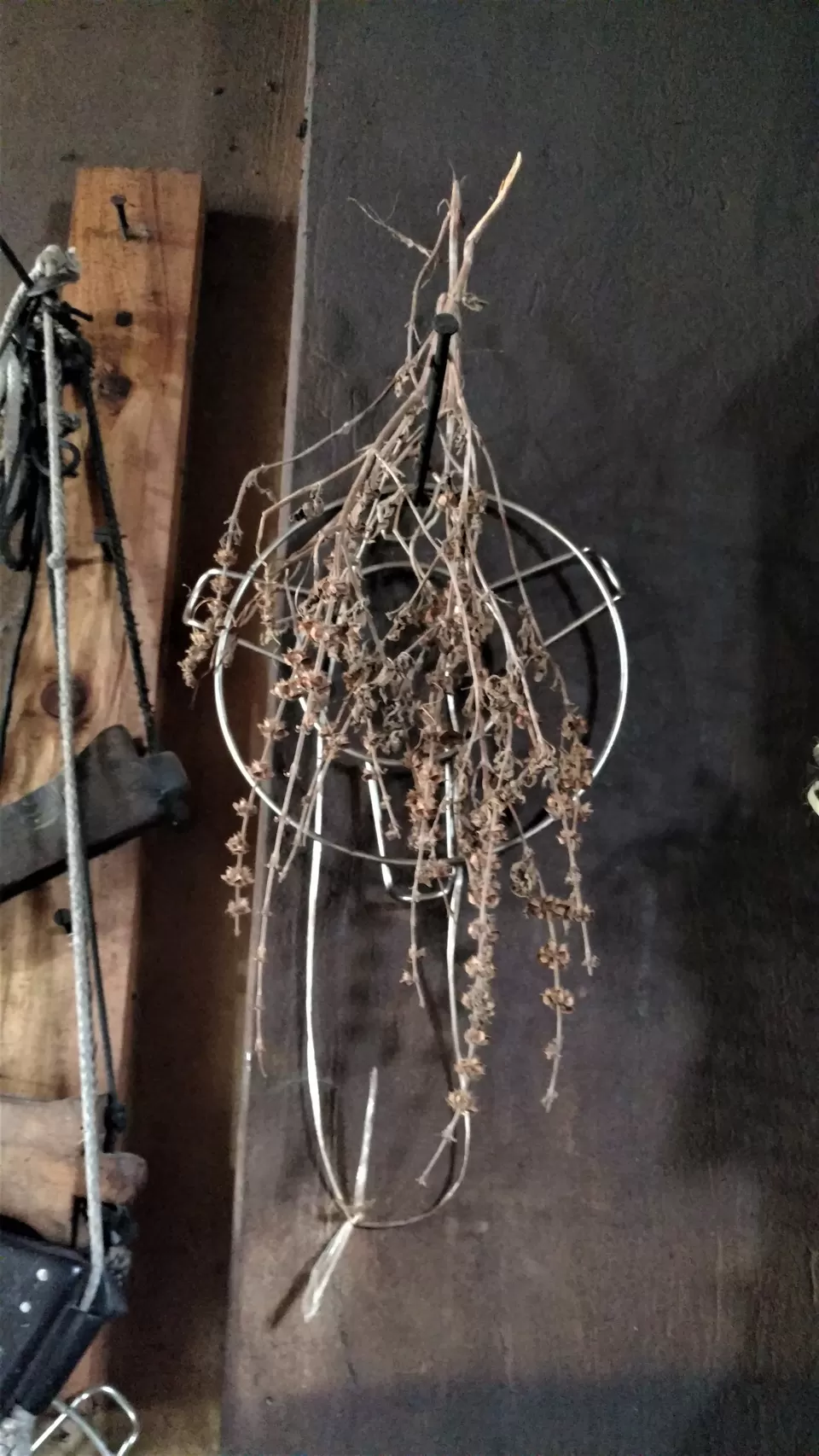 Photo of Khonoma, Nagaland, India by Rupa Abdi