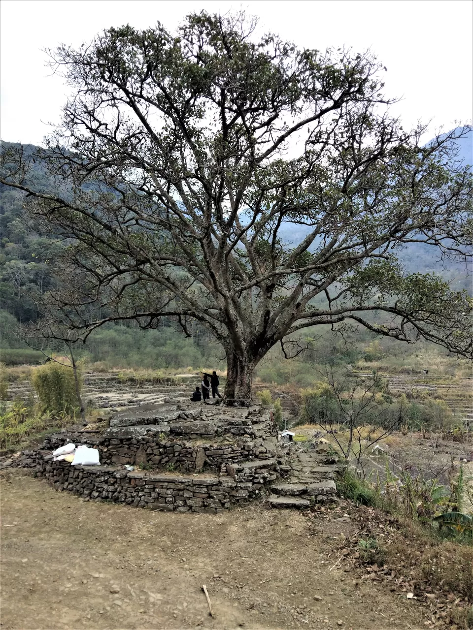 Photo of Khonoma, Nagaland, India by Rupa Abdi