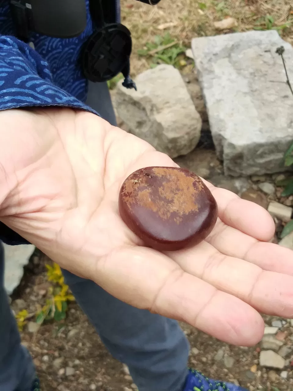 Photo of Khonoma, Nagaland, India by Rupa Abdi