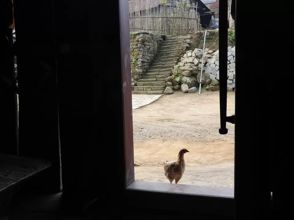 Photo of Khonoma, Nagaland, India by Rupa Abdi