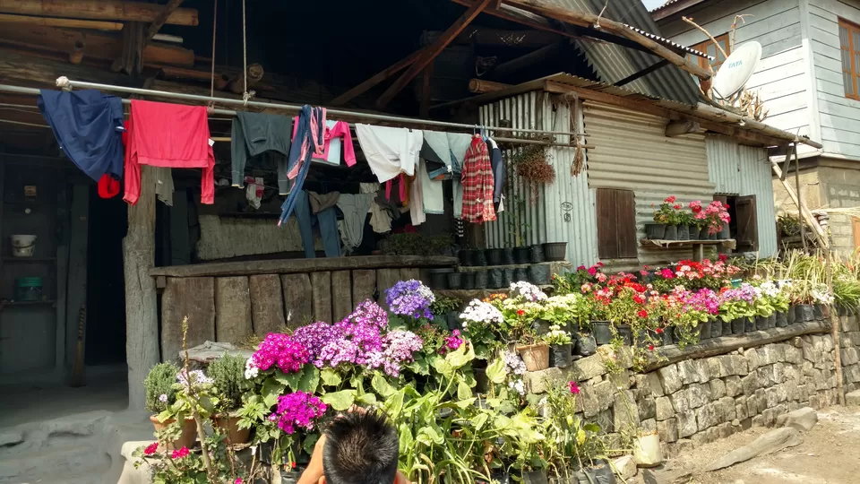 Photo of Kigwema, Nagaland, India by Rupa Abdi