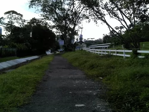 Photo of Bukit Brown Singapore by MagTY