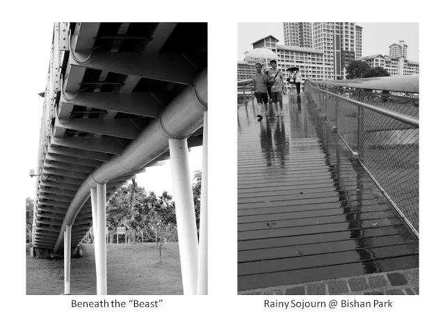 Photo of Bukit Brown Singapore by MagTY