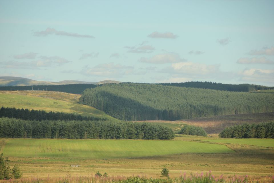 Photo of Scotland, the highlands! by Vrinda