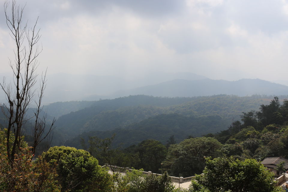 Photo of Coorg Diaries Day 1 by Pallavi Rawat