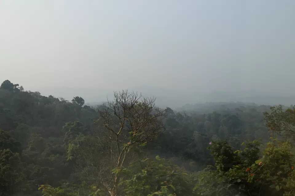 Photo of Coorg, Karnataka, India by Pallavi Rawat