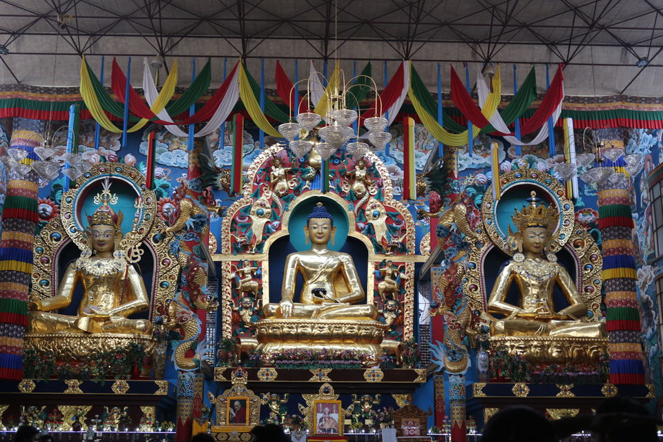 Photo of Coorg Diaries Day 1 by Pallavi Rawat