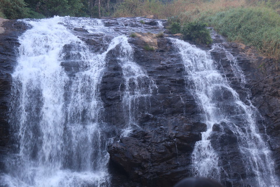 Photo of Coorg Diaries day 2 by Pallavi Rawat
