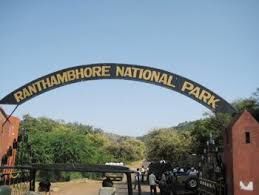 Photo of LONG WEEKEND WILD LIFE JUNGLE SAFARI IN RANTHAMBORE NATIONAL PARK 1/1 by MysticRider