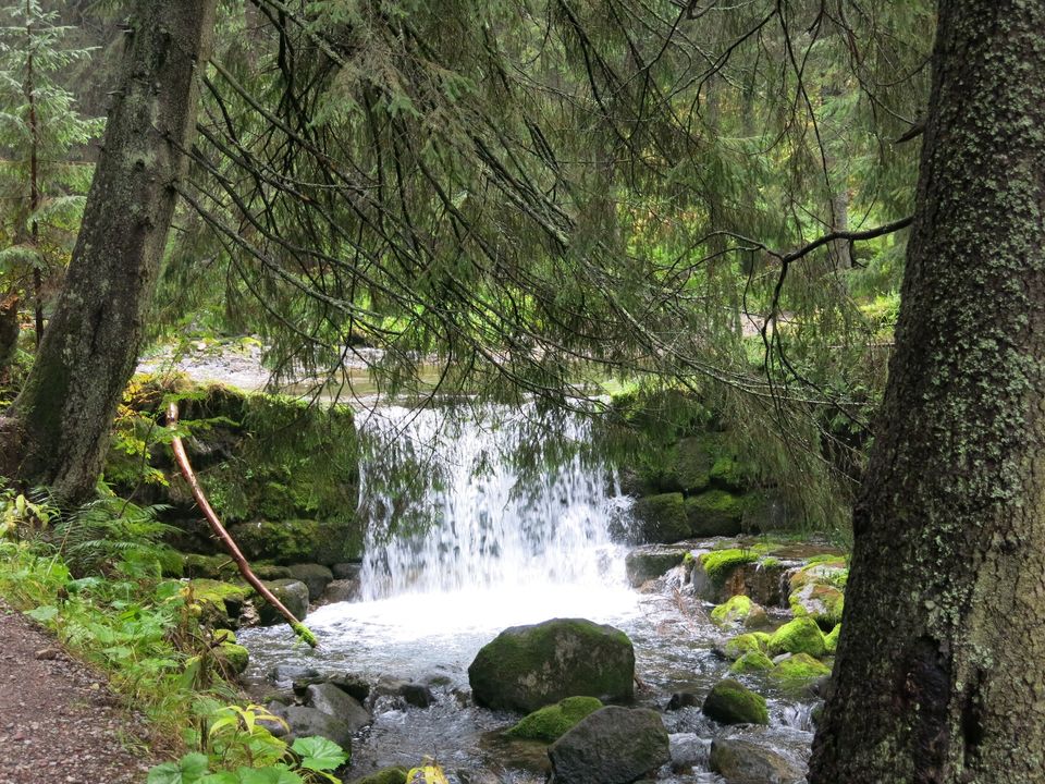 Photo of Kasprowy Wierch, Zakopane, Poland by Pat