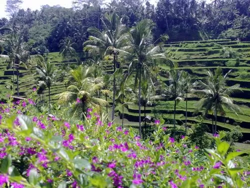 Photo of Bangli, Bali, Indonesia by Jeff