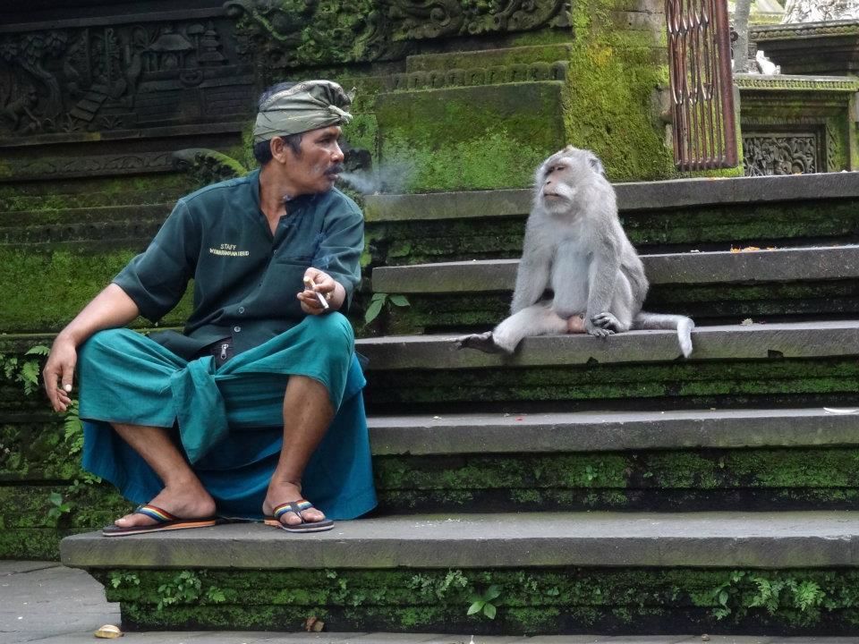 Photo of Truly Asia: Indonesia 2/41 by Jeff