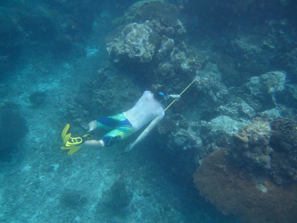 Photo of Truly Asia: Indonesia 7/41 by Jeff