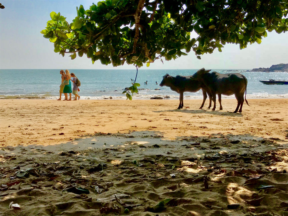 Photo of Gokarna - The Untouched Planet by Dipsekhar Ghosh