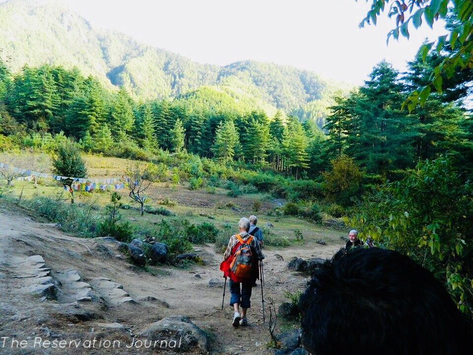 Photo of A Visit to the Valley of Paro 4/19 by Shreya Jana