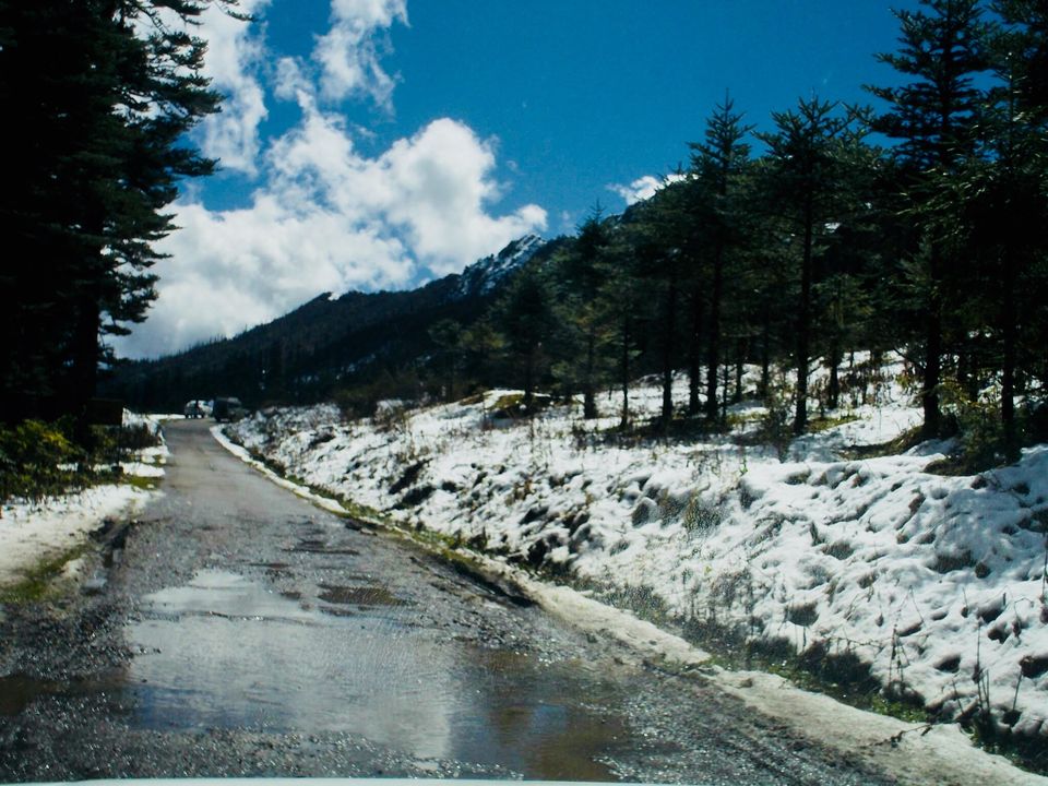 Photo of A Visit to the Valley of Paro 14/19 by Shreya Jana