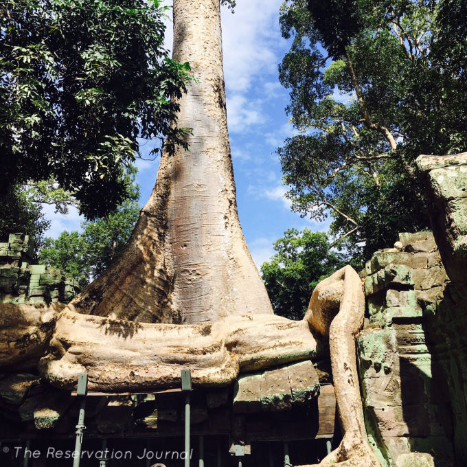 Photo of A Complete Guide To The Angkor Wat Temples - Cambodia 3/11 by Shreya Jana