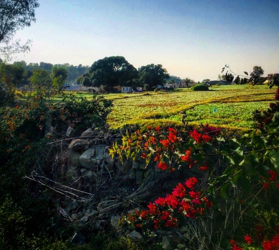 Photo of Mandhna Road, Mandhna, Haryana, India by Ipsita Ghosh