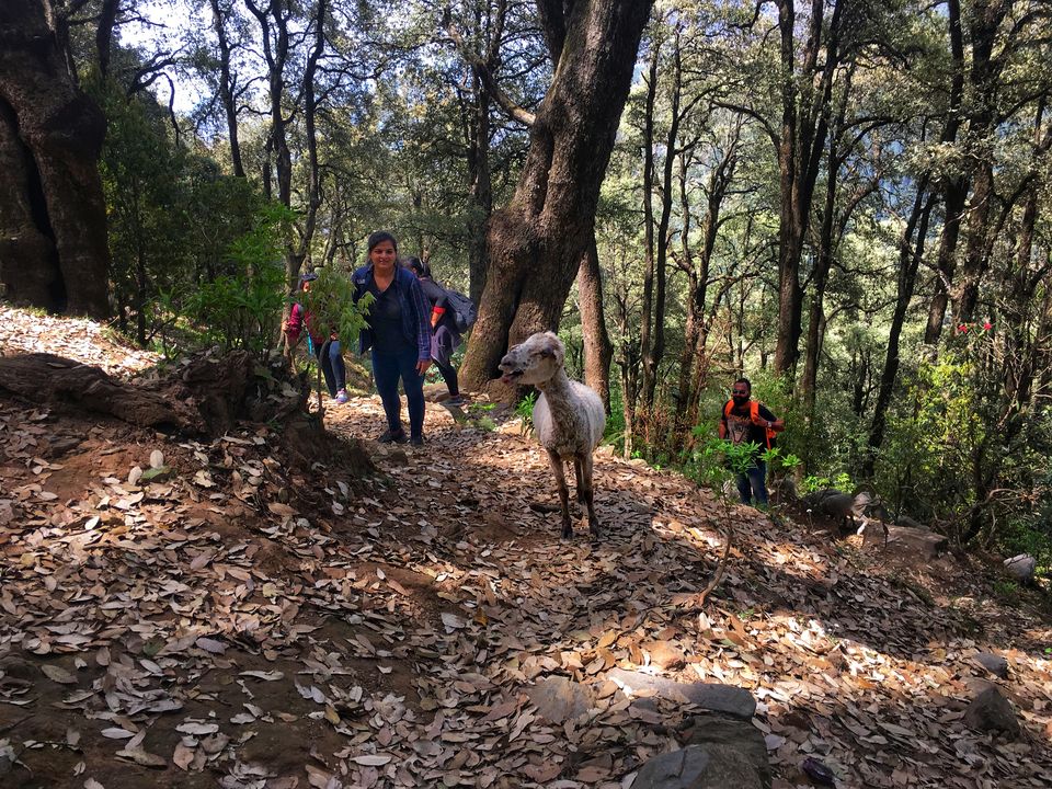 Photo of The life lessons I learnt from my first trek | Parashar Lake trek by Ipsita Ghosh
