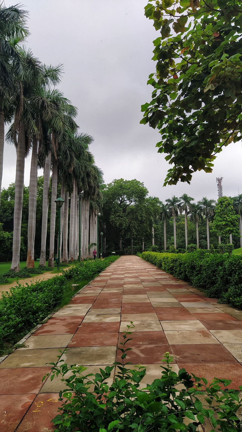 Photo of Lodhi Garden, Lodhi Road, Lodhi Gardens, Lodhi Estate, New Delhi, Delhi, India by Ipsita Ghosh