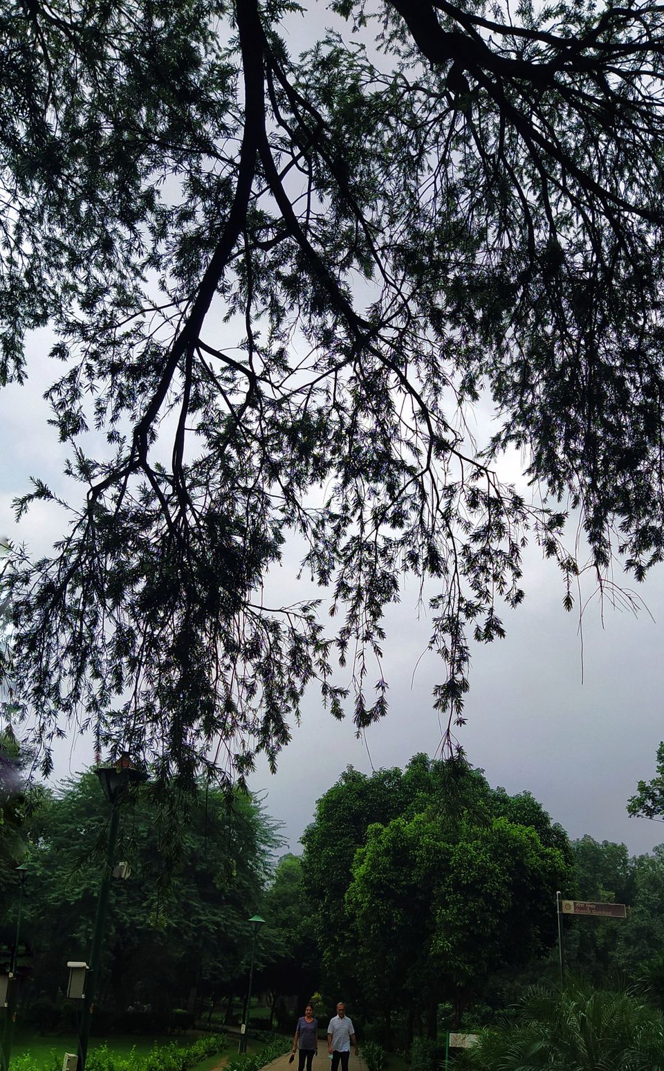 Photo of Lodhi Garden, Lodhi Road, Lodhi Gardens, Lodhi Estate, New Delhi, Delhi, India by Ipsita Ghosh