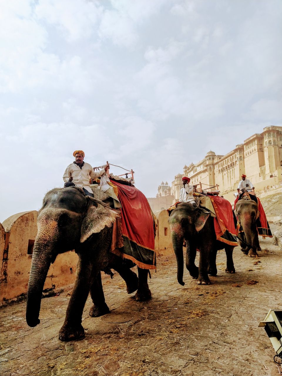 Photo of Responsible Tourism on National Tourism day! 8/12 by Ipsita Ghosh
