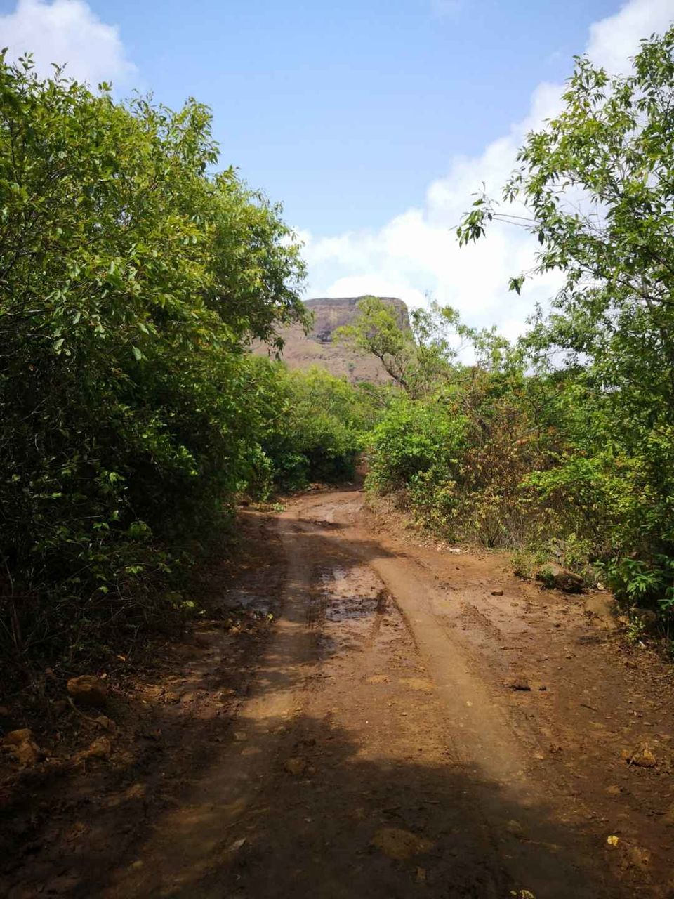 Photo of Visapur fort trek #BestofMaharashtra by Sanchari Dan