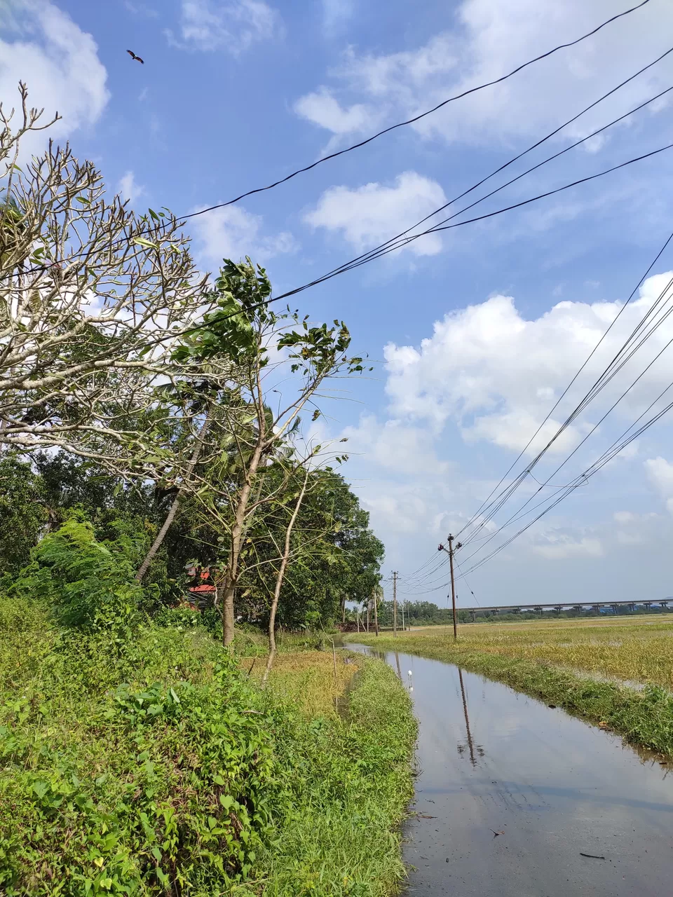Photo of Divar Island, Goa by Sanchari Dan