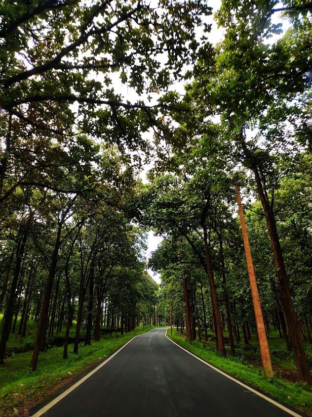 Photo of Nagarhole National Park And Tiger Reserve, Mysore - Madikeri Rd, Hunsur, Karnataka, India by Sanchari Dan