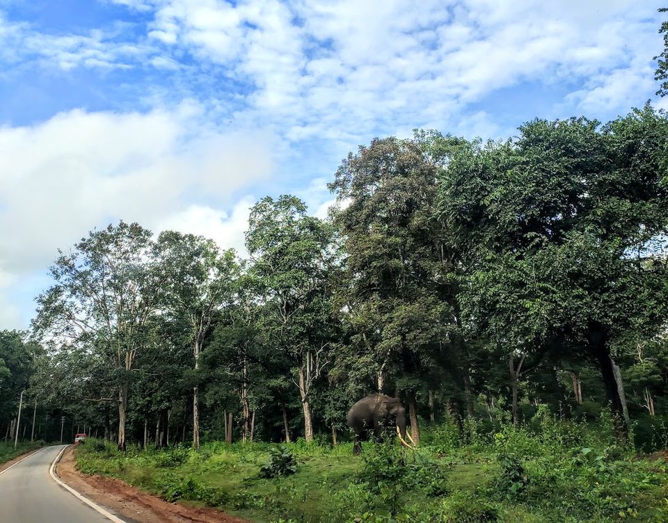 Photo of Thirunelly : Wayanad's unknown neighbour by Sanchari Dan