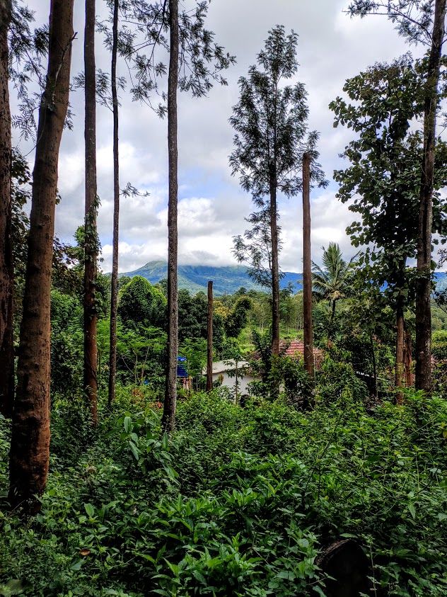 Photo of Thirunelly : Wayanad's unknown neighbour by Sanchari Dan