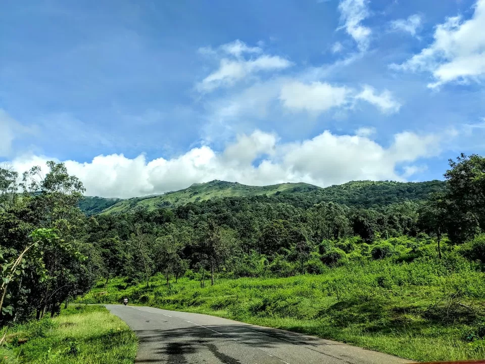 Photo of Tholpetty, Kerala, India by Sanchari Dan