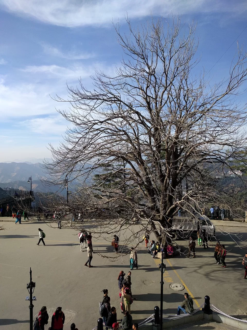 Photo of Shimla,Himachal by GoHimachal